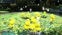 [PSO2] Rappy Party
