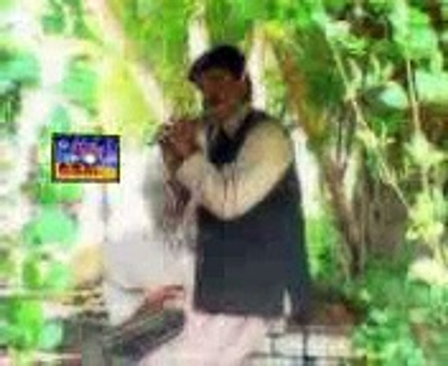 haleeaib