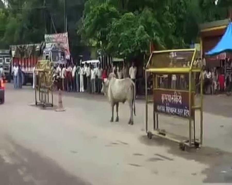Funny Video 2