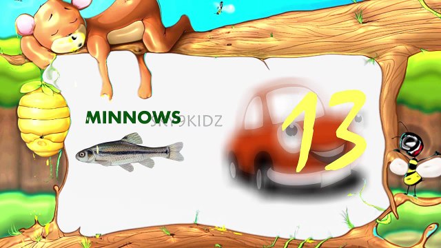 1st frut numbers 1234 KIDZ