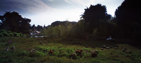 Adam and Eva Compiltaion - Gregorian Feat. Sisters of Oz - So Sad