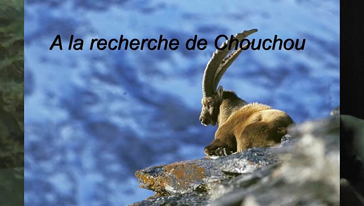 Soirée "les 40 ans du Parc des Ecrins" au refuge du Xavier Blanc