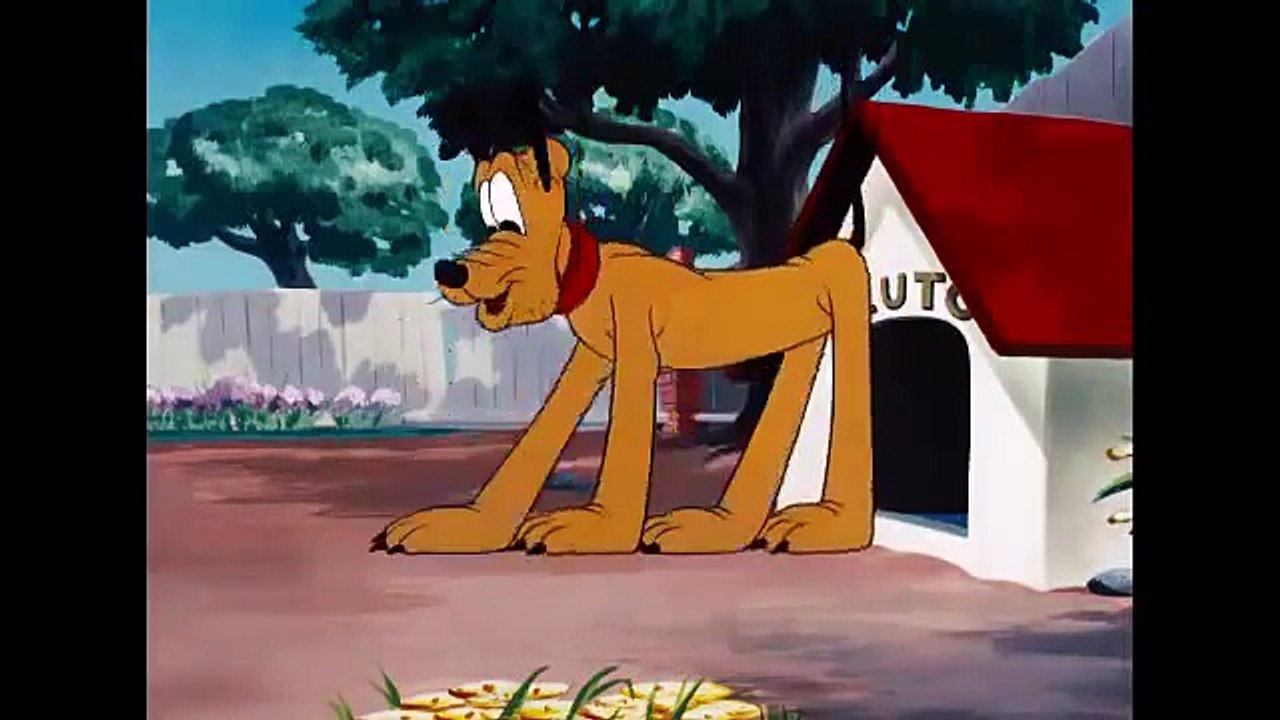 Mickey Trop Drôle   Pluto Bandit   Français