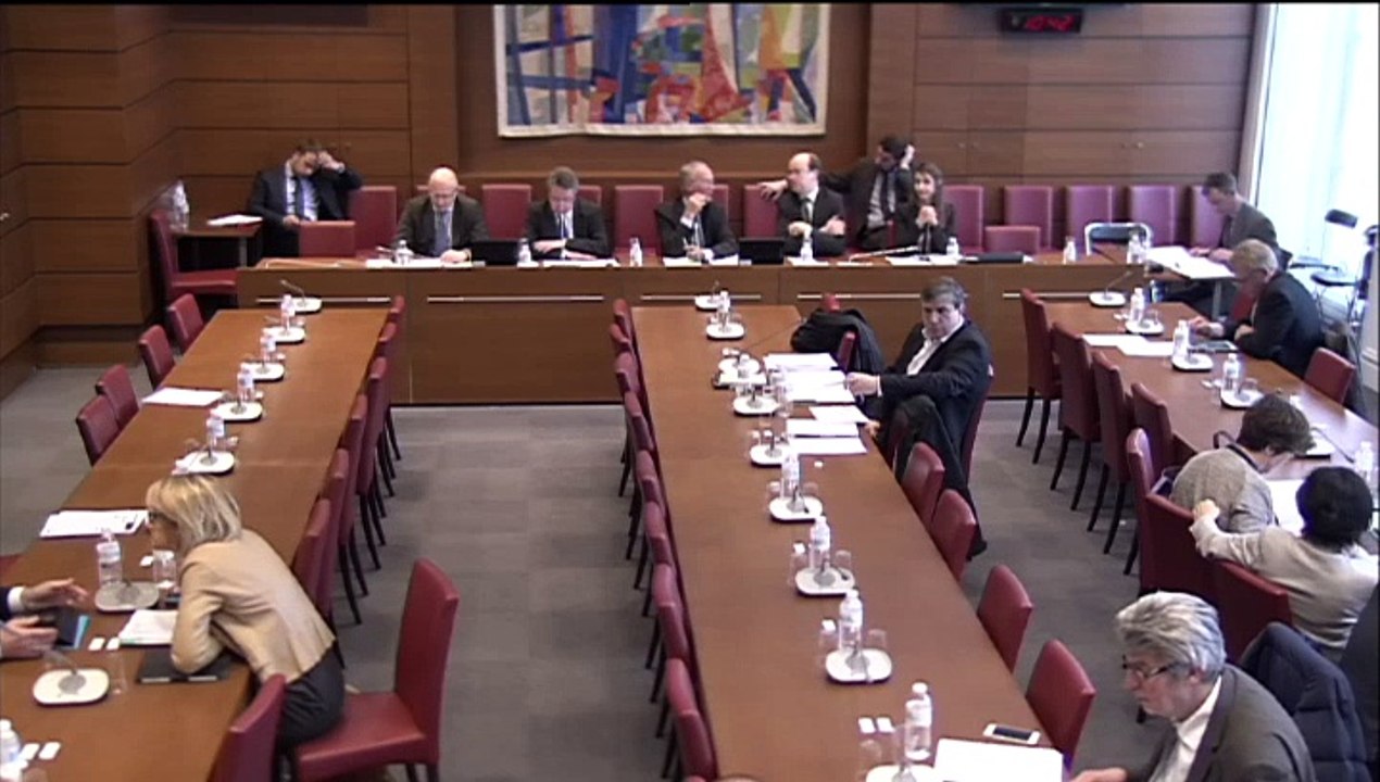 Dispositions applicables à la métropole de Lyon (1), 18 mars 2015