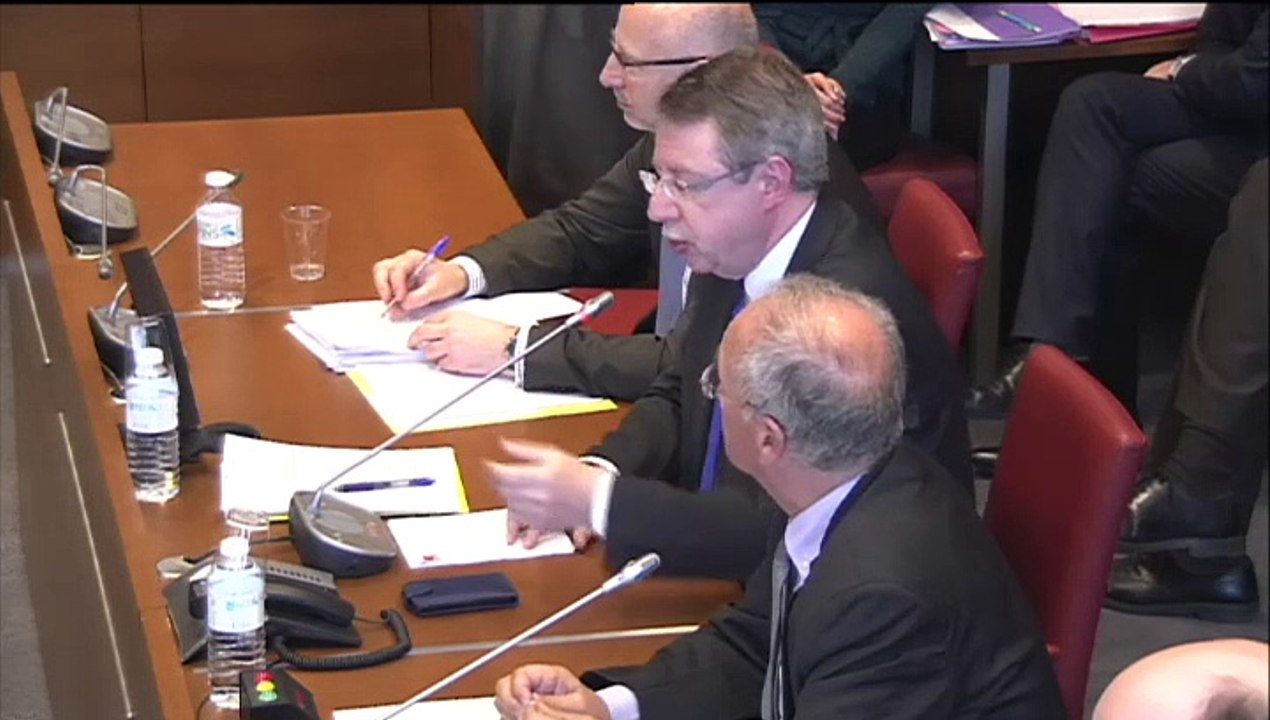 Dispositions applicables à la métropole de Lyon (2), 18 mars 2015