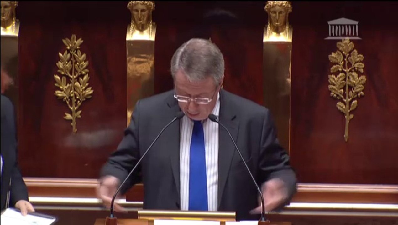 Création métropole de Lyon (discussion générale), 24 mars 2015