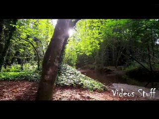 Maulana Tariq Jameel very emotional short bayan about Ikhlaaq - HD
