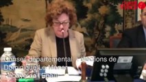 Conseil départemental de la Sarthe : Election de Dominique Le Mèner