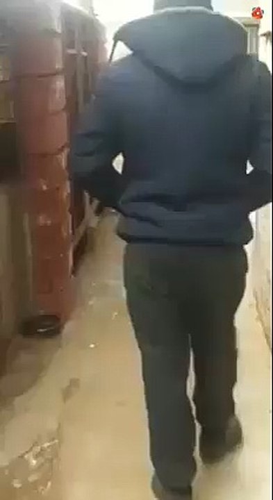 Funny or Die | Funny Videos, Funny Video Clips