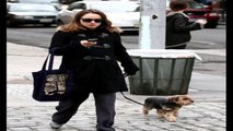 Pregnant Natalie Portman Takes Her Dog For a Walk Full HD Video