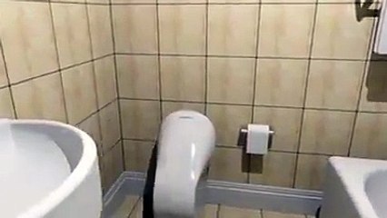 Folding Toilet