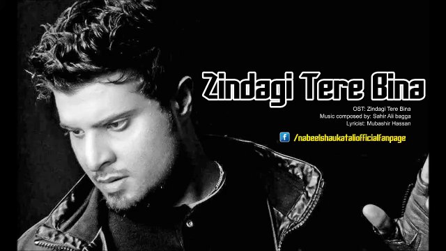 Zindagi Tere Bina OST By Nabeel Shaukat Ali - YouthMaza.Com