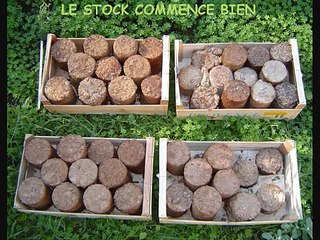 Fabrication de briques et Briquettes avec de la sciure pour le chauffage