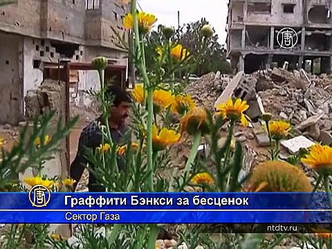 Житель Газы по незнанию продал граффити Бэнкси за бесценок