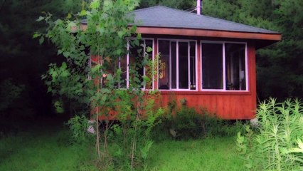 Cabin Fever by Tom Montgomery Fate (Book Trailer)