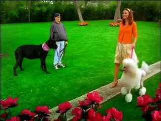 K-9 Fat Free Dog Treats