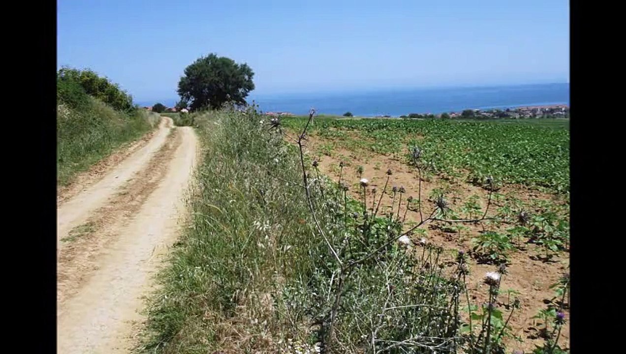 Tekirdağ Satılık Tarla- Barbaros Satılık Tarla Kumbağ Satılık Tarla