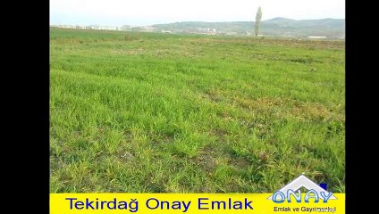 Tekirdağ Depolama  Alanı Satılık Tarla