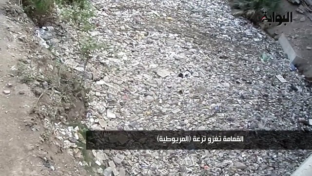 القمامة تغزو ترعة المريوطية