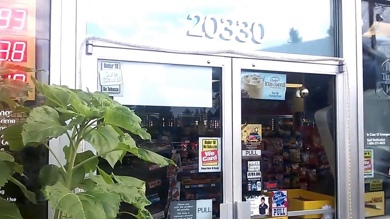 GERMAN SHEPHERD CHARGES ROTTWEILERS!!!