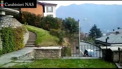 Milano - traffico internazionale farmaci trafugati: 19 arrestati