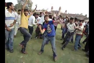 Spring Festival UAF 7