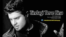 Zindagi Tere Bina OST - Nabeel Shaukat Ali