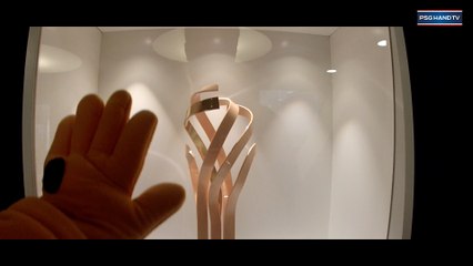 Une nouvelle recrue au Paris Saint-Germain Handball