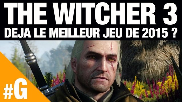 The Witcher 3, meilleur RPG 2015 ? Les raisons d'y croire