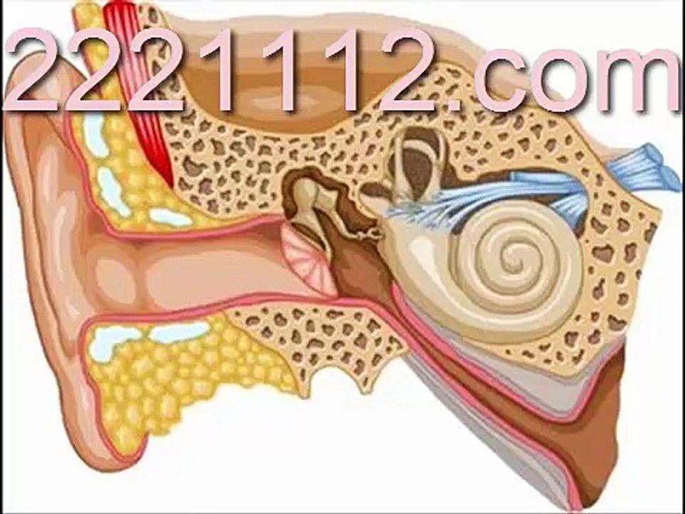EAR-INFECTION - اردو