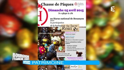 Daniel Lagneaux, directeur du haras de Besançon.