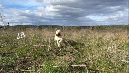 Les meilleures photos Facebook de février