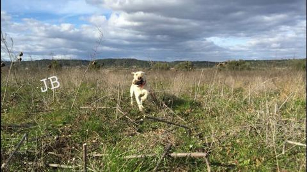 Les meilleures photos Facebook de février
