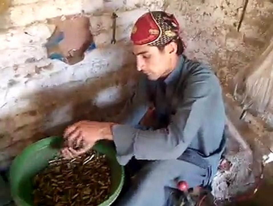 pakistan