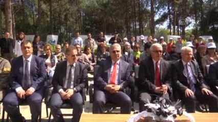 Yaralı Caretta Carettalar Tedavi Edildi