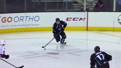 Hockey sur glace - L'arrêt de Calvin Pickard