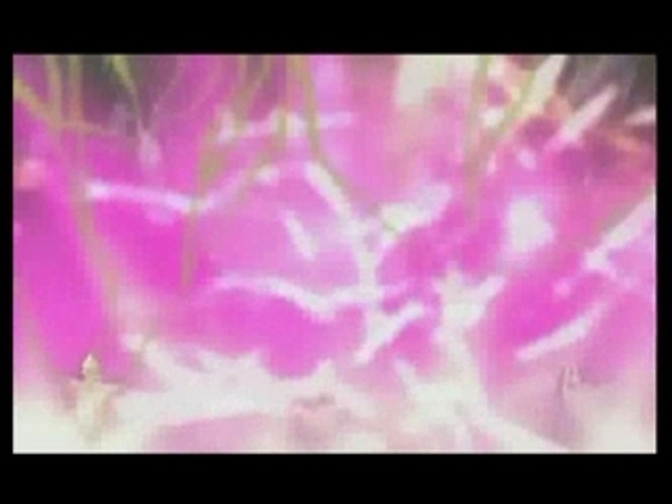 Dans la paume du boudha