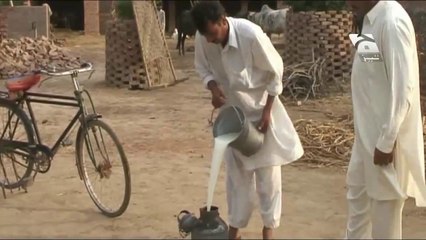 Shetaan On Milk Man New Tezabi Totay