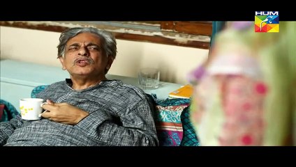 Aye Zindagi Episode 4 Full on Hum tv 2 April 2015