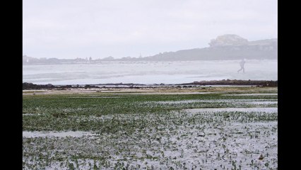 Landéda, l'Aber-Wrac'h, grande marée 2015