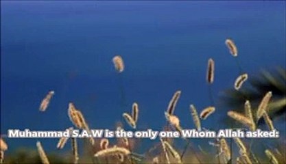 How Angel of Death took Muhammad (SAW)s Soul ᴴᴰ - Tariq Jameel