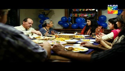 Aye Zindagi Episode 4 Part 1 HUM TV Drama 2nd April 2015