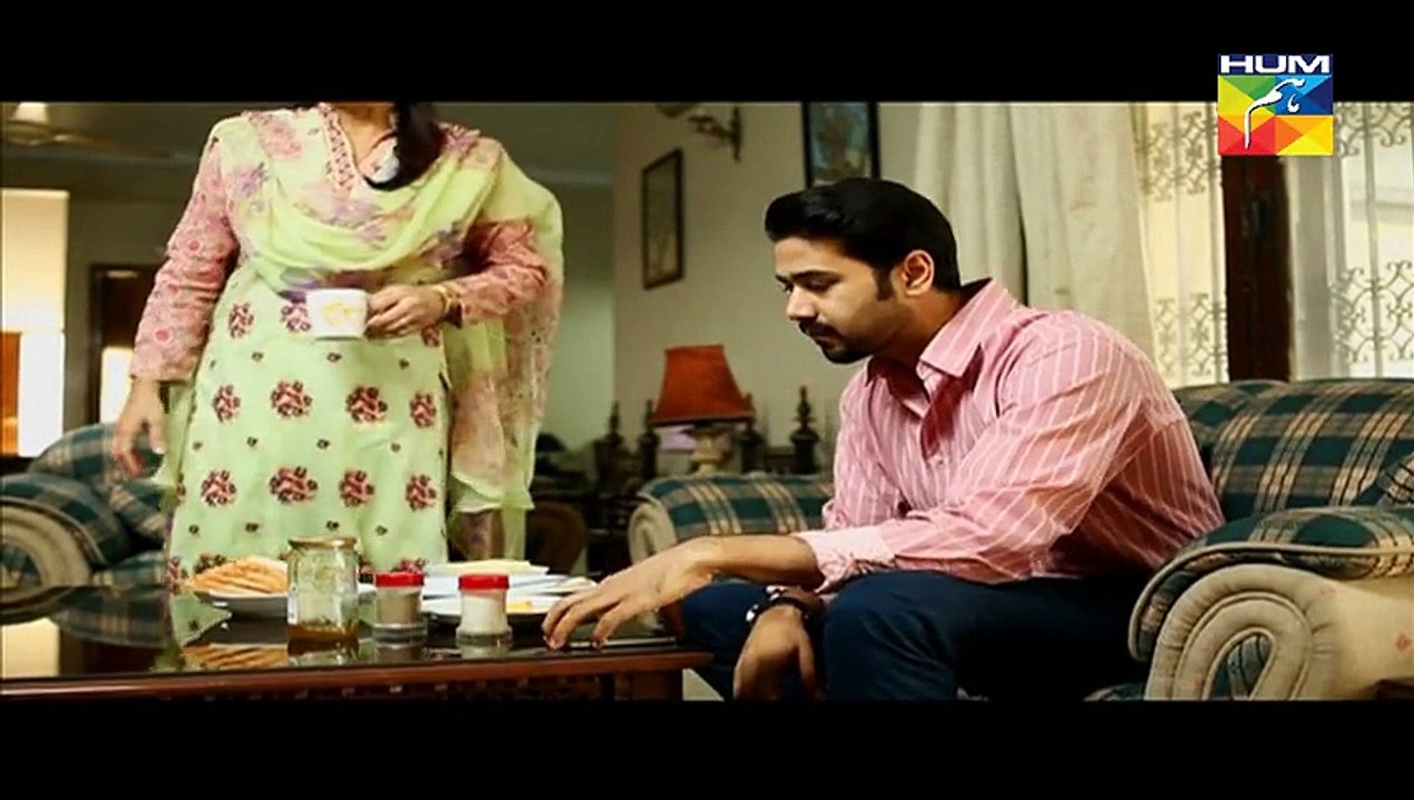 Aye Zindagi Episode 4 Part 2 HUM TV Drama 2nd April 2015