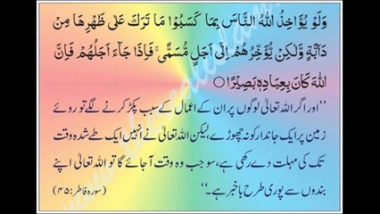 Surah Al Fatir 35 Abdul Rehman Sudais