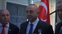 Çavuşoğlu: 