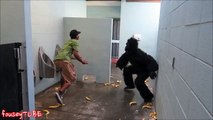 Tuvallette Yapılan Goril Şakası