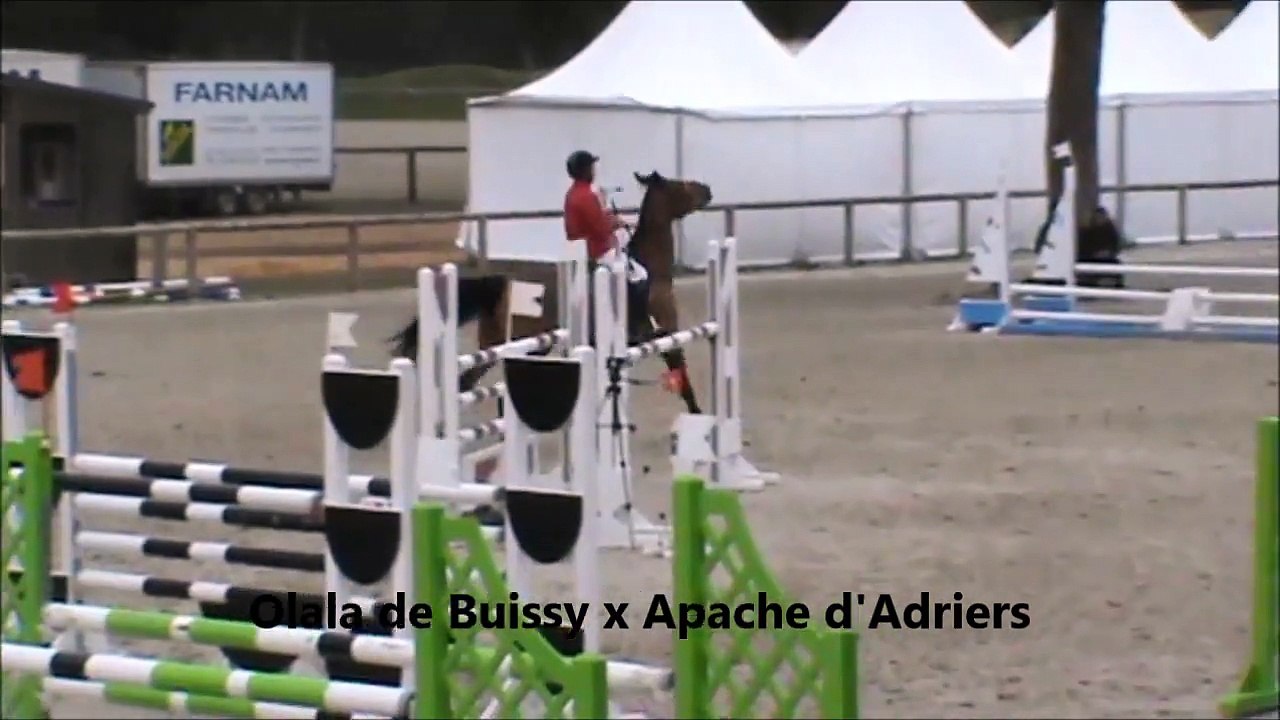 Volta CSO Fontainebleau mars 2015