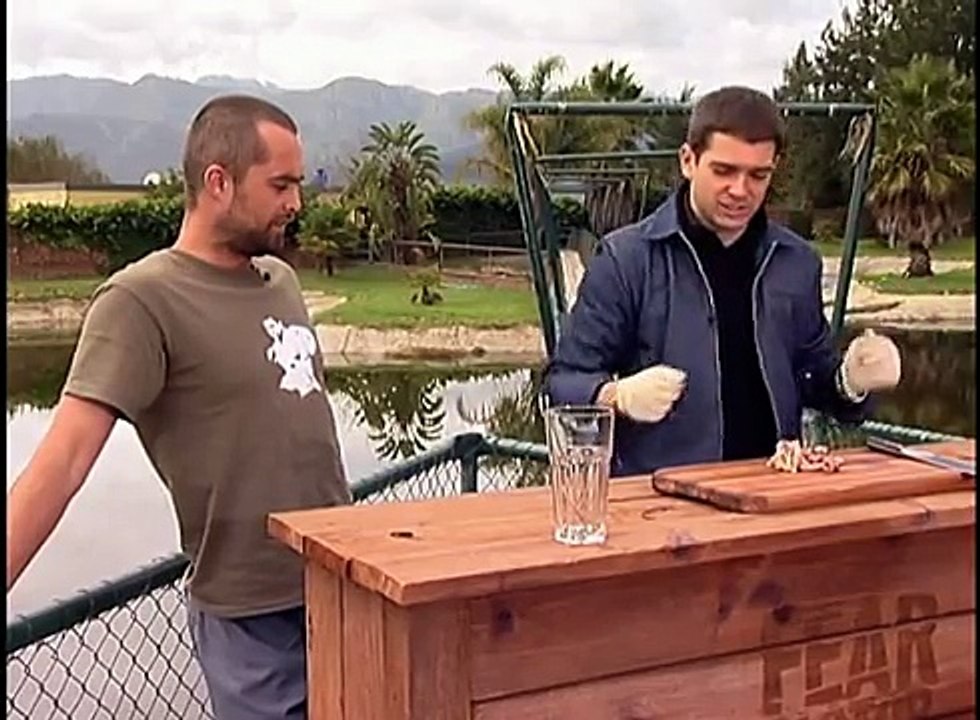 Fear Factor UK - Sn 1: Ep.13