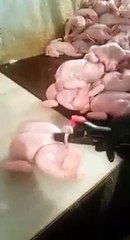 How Healthy Chicken Meat Show You And Manipulate You - Sell You Extra Meat