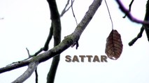 Sattar - Yeganegi (Unisson)